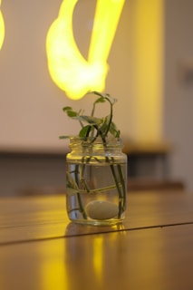 A serene jar filled with rich soil, adorned with golden dust and tiny pearls, resting on a wooden table surrounded by soft natural light.