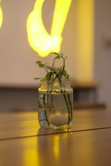 Close-up of a beautifully crafted jar filled with soil and tiny pearls, symbolizing hope and blessings.