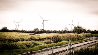 Wind turbines generating electricity in a field.