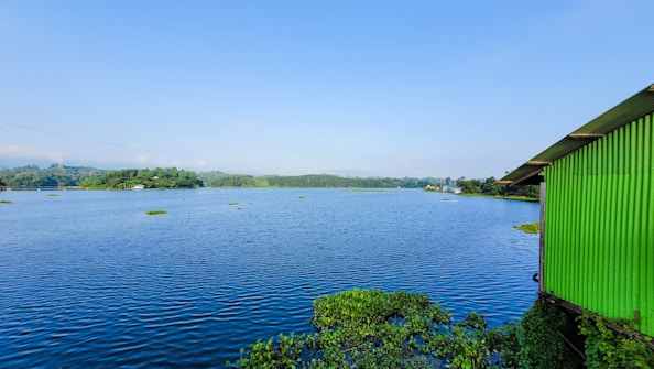 A serene lake with calm blue waters extends into the distance, bordered by dense green foliage and small patches of floating plants. A bright green corrugated metal building occupies the right side of the image, partially obscured by vegetation. The sky is clear with a gentle gradient from light to deeper blue.