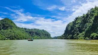 A serene view of a river with boats and lush greenery along the banks.