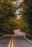 an empty road surrounded by trees in the fall