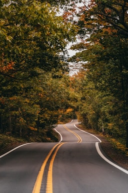 an empty road surrounded by trees in the fall