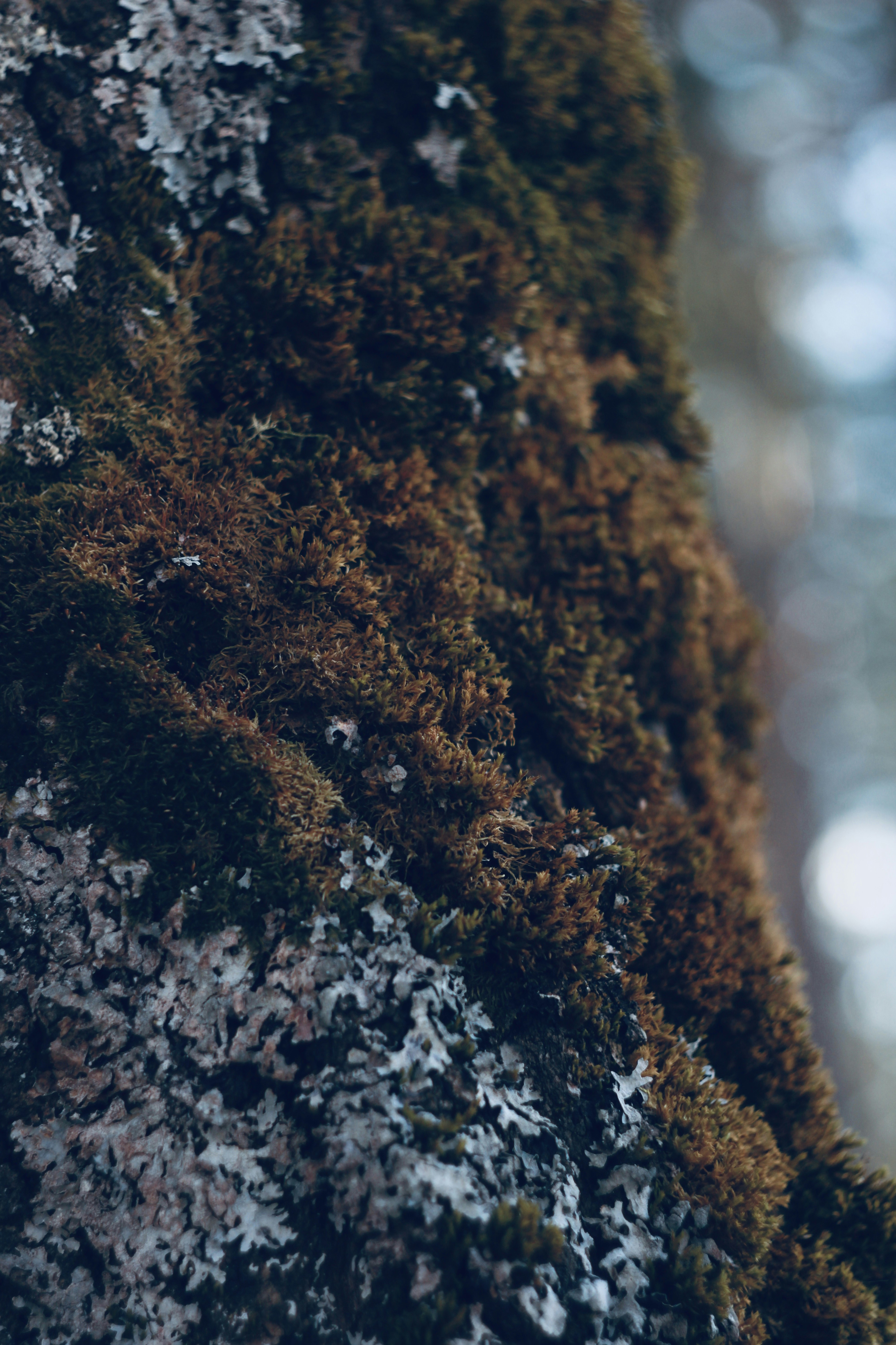 Photo by soulhall_photo