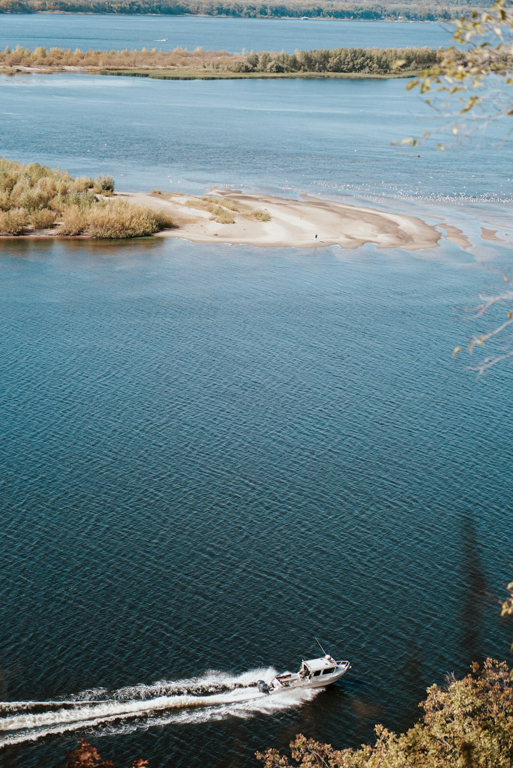 a boat traveling down a river next to a forest