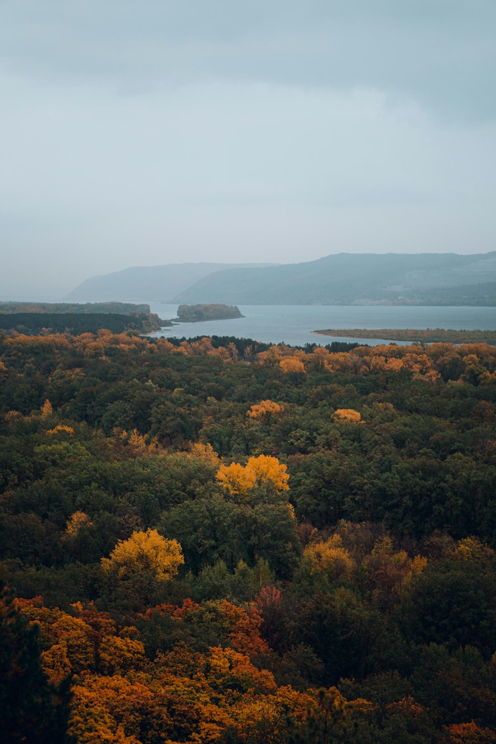 uma vista panorâmica de um lago cercado por árvores