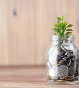 a glass jar filled with coins and a plant