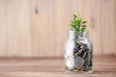 a glass jar filled with coins and a plant