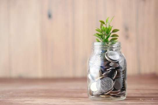 A glass jar filled with coins is placed on a wooden surface. Emerging from the top of the jar is a small green plant, signifying growth or financial investment.