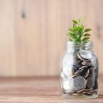 a glass jar filled with coins and a plant