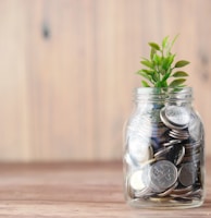 a glass jar filled with coins and a plant