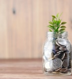 a glass jar filled with coins and a plant