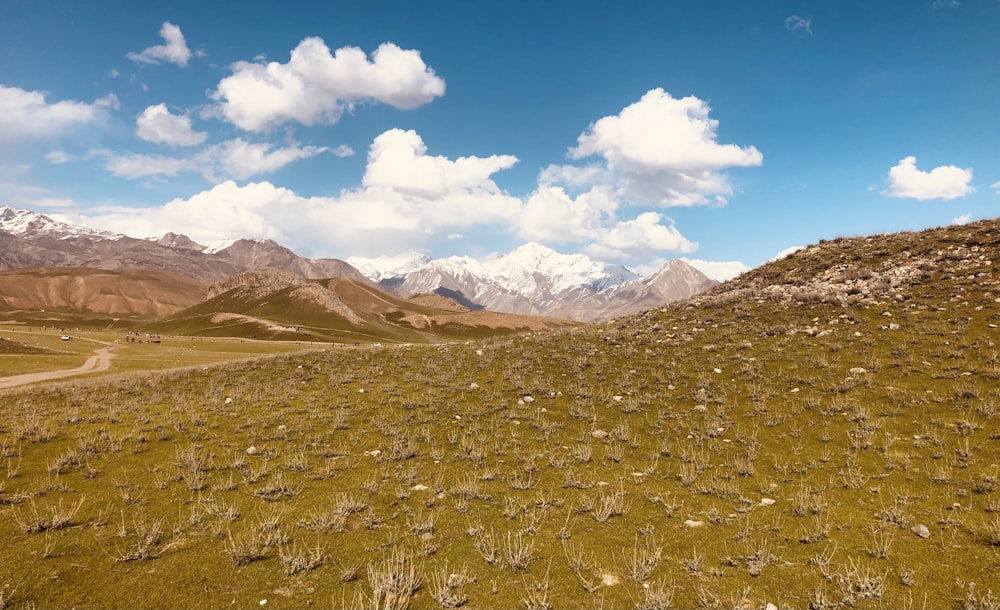 a grassy field with mountains in the background