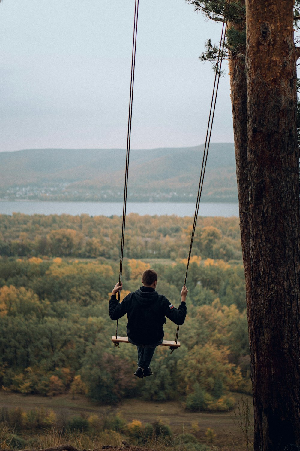 a man sitting on a swing in a forest