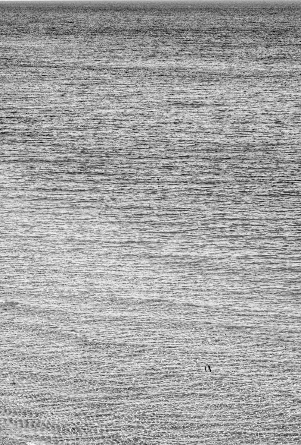 a person walking on a beach with a surfboard