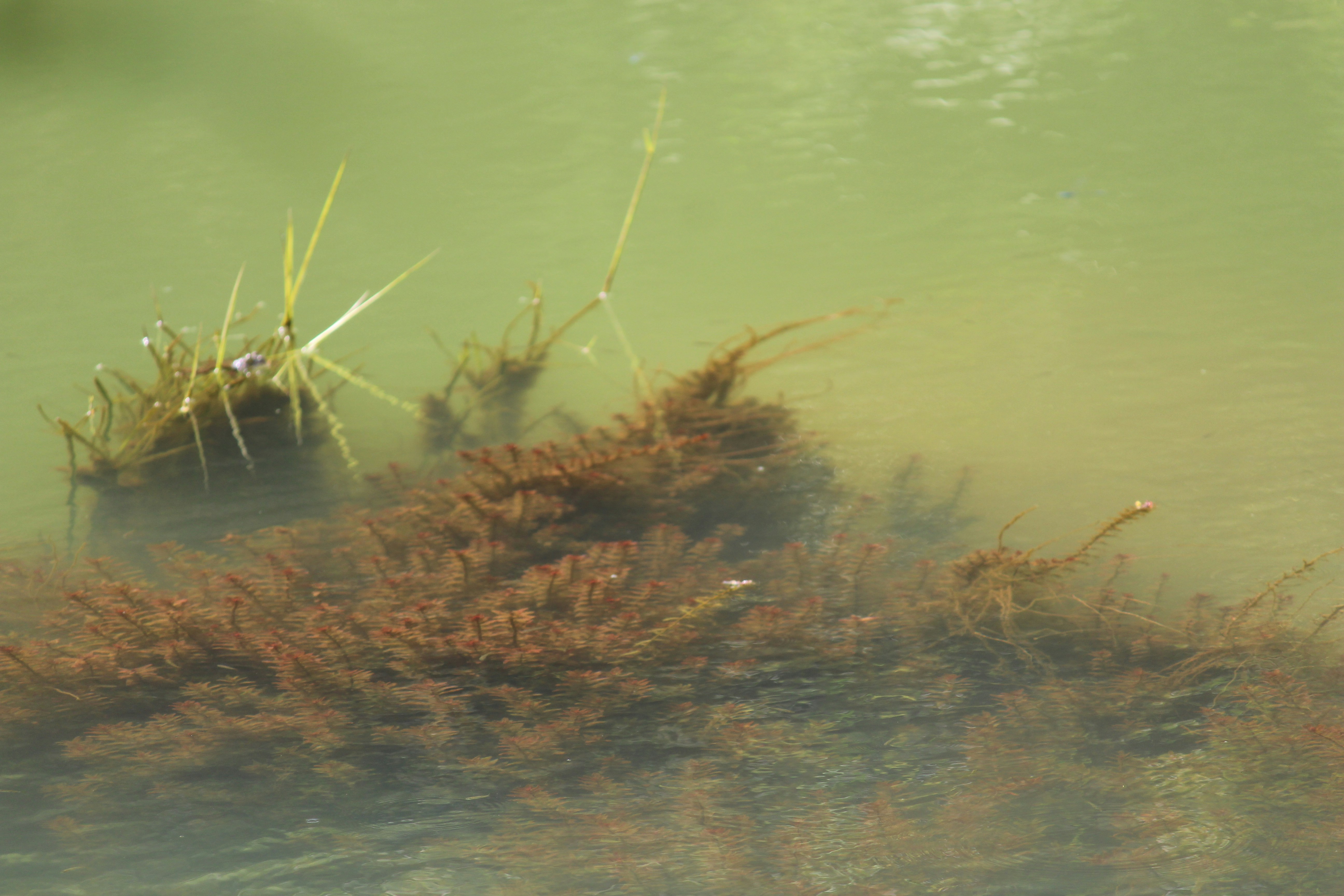 Photo by shridhardixit