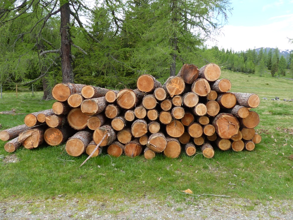 a pile of logs sitting on top of a lush green field