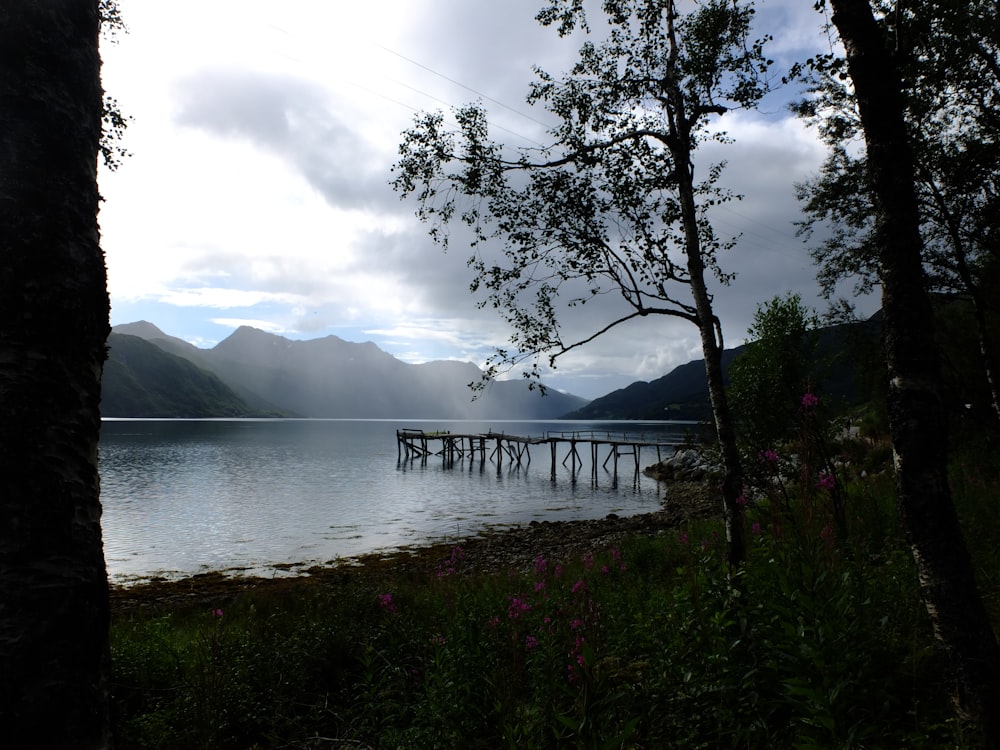 a body of water surrounded by trees and mountains