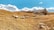 A group of sheep grazes on a sunlit, grassy field with gentle rolling hills. An old barn with a slanted roof is situated on the right, slightly elevated. The sky is bright blue with scattered fluffy clouds.
