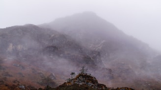 A misty mountain landscape shrouded in mystery.