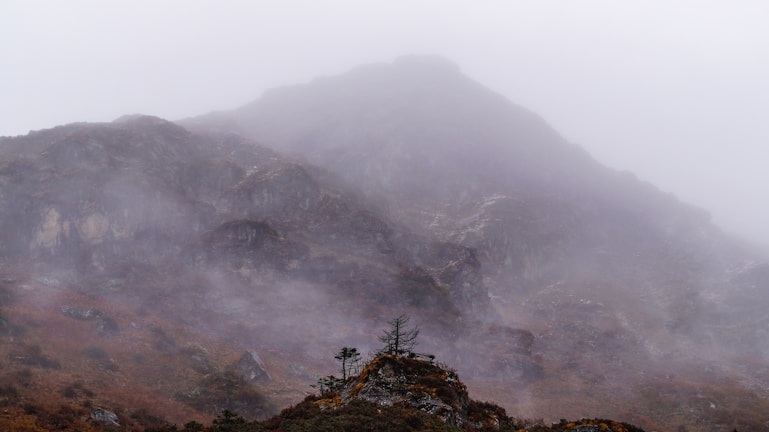 A haunting landscape shrouded in mist.