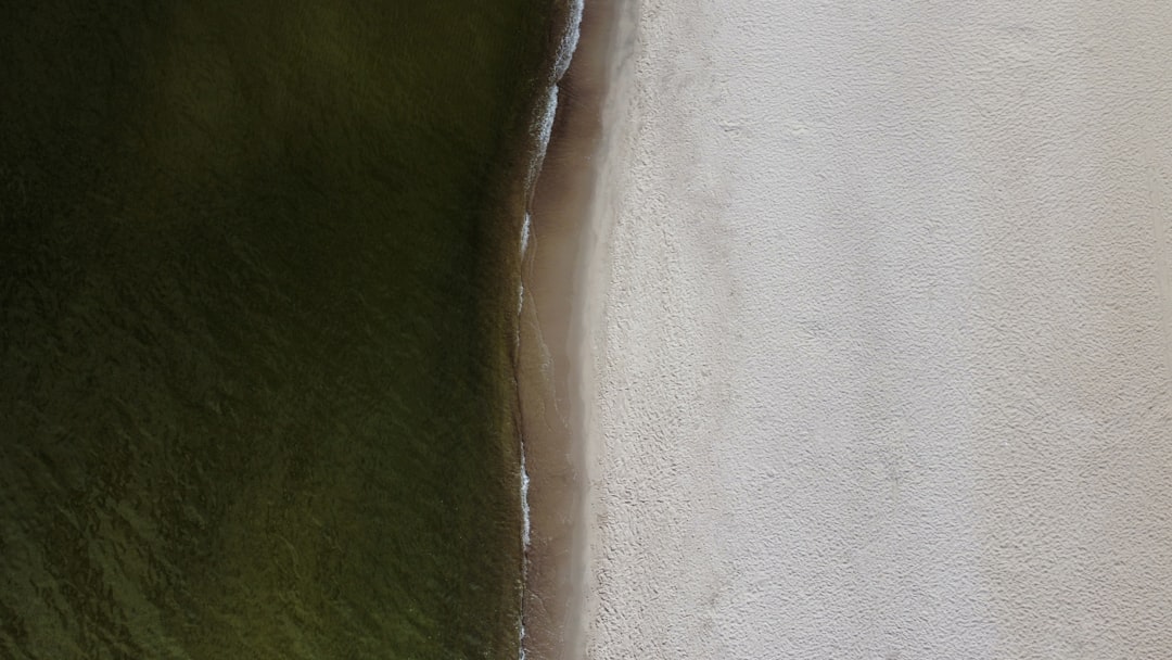 실리콘투