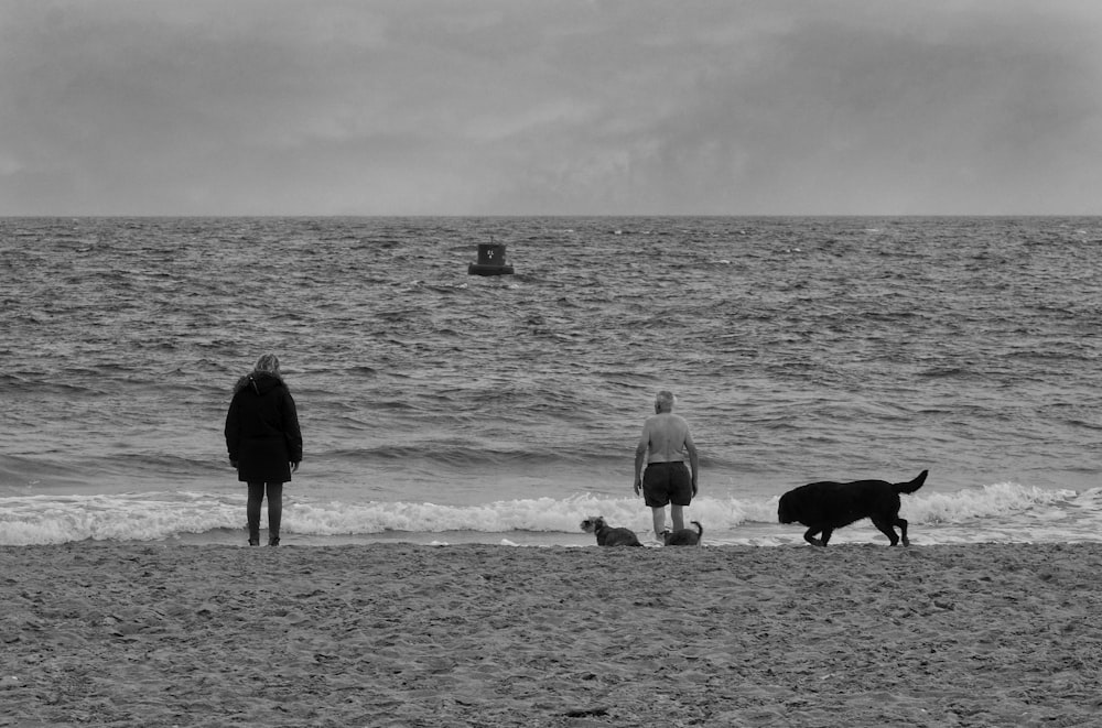 a couple of people and a dog on a beach