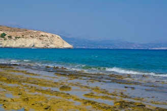 A picturesque beach with clear blue waters.