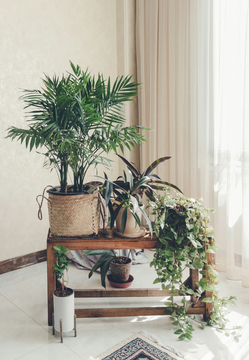uma mesa de madeira coberta com vasos de plantas ao lado de uma janela