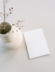 a white vase with a plant in it next to a blank card