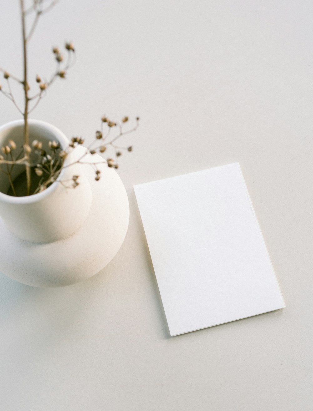 a white vase with a plant in it next to a blank card