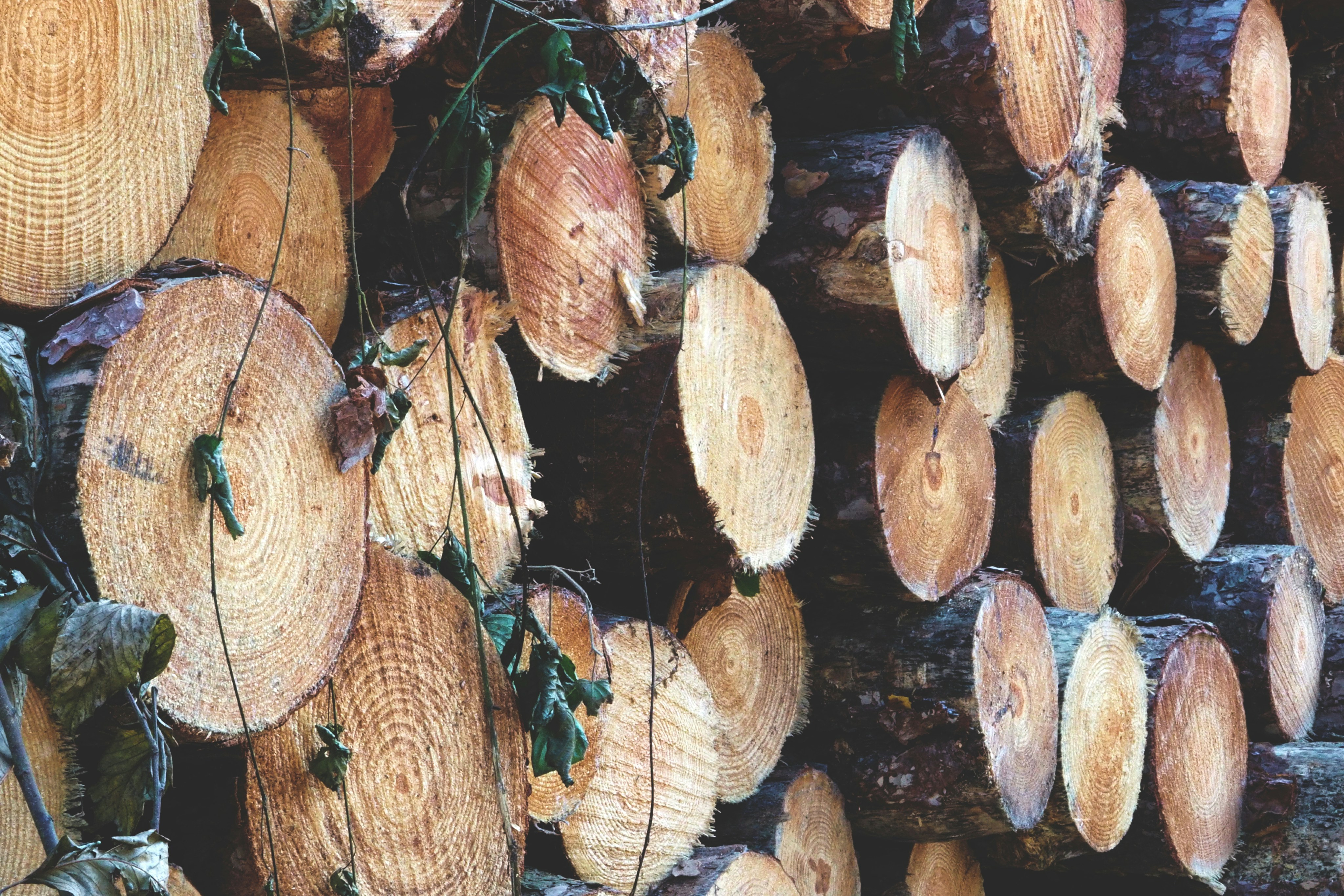 Image representing Home page