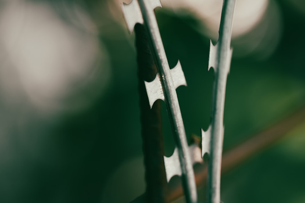a close up of a metal fence with a blurry background