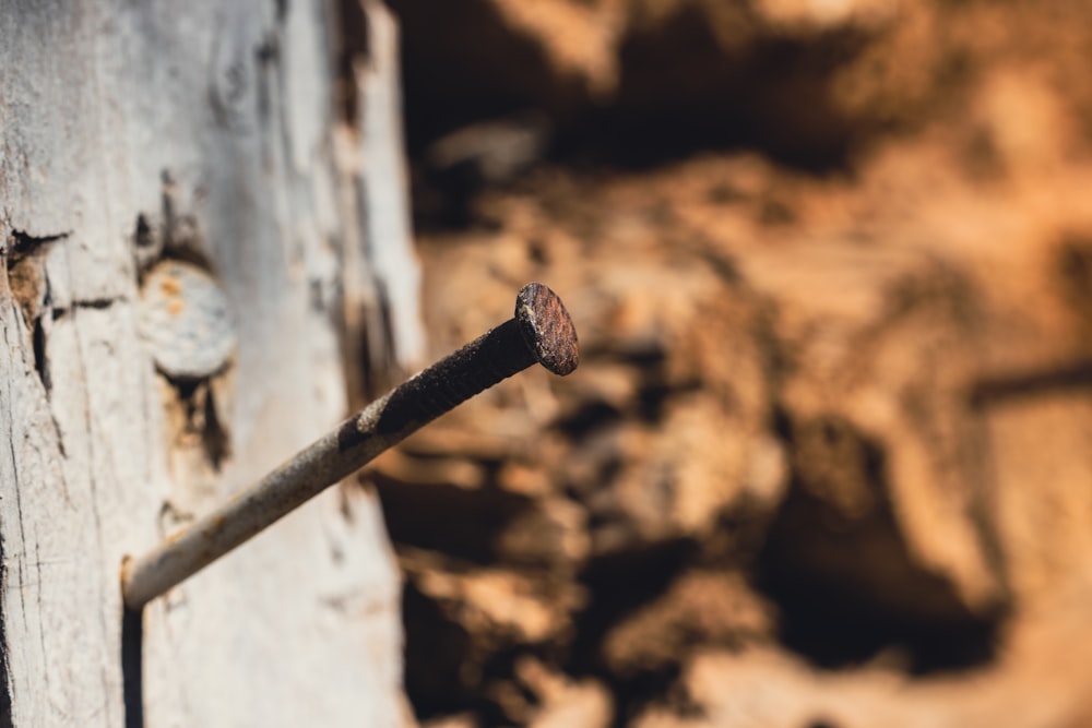 a rusted door handle on a wooden door