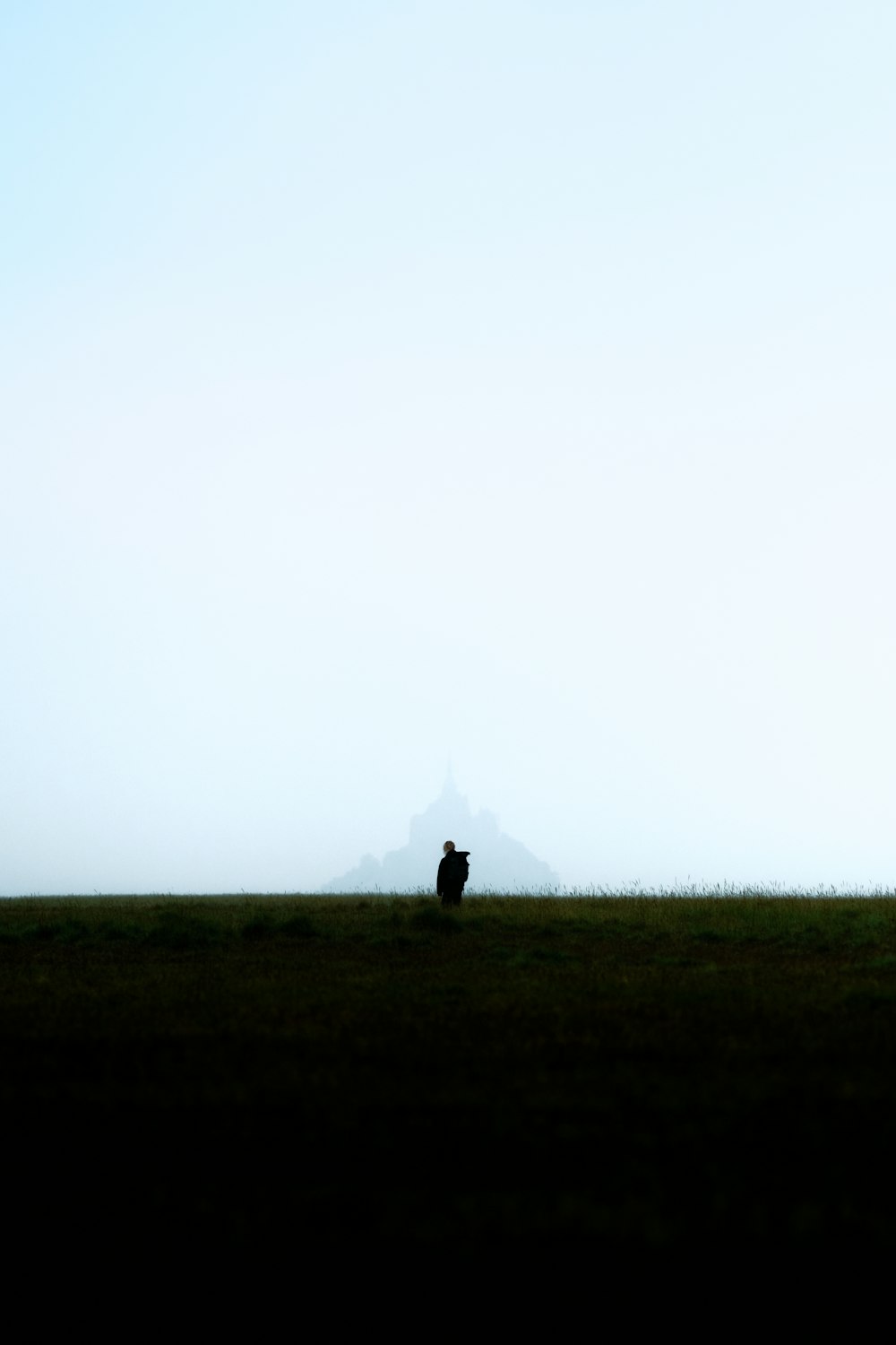 a lone cow standing in a field with a mountain in the background