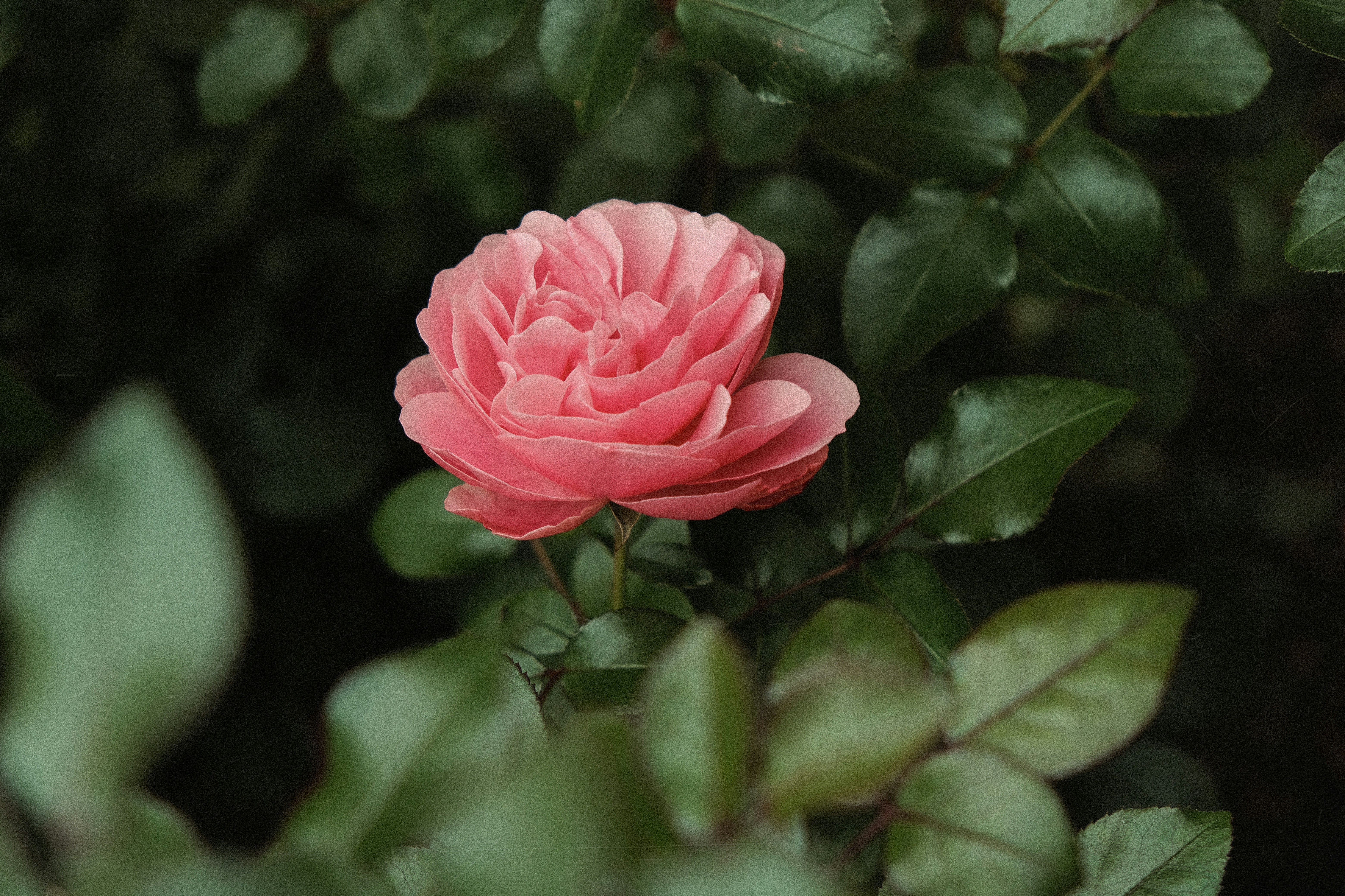 Photo by theinceptionn