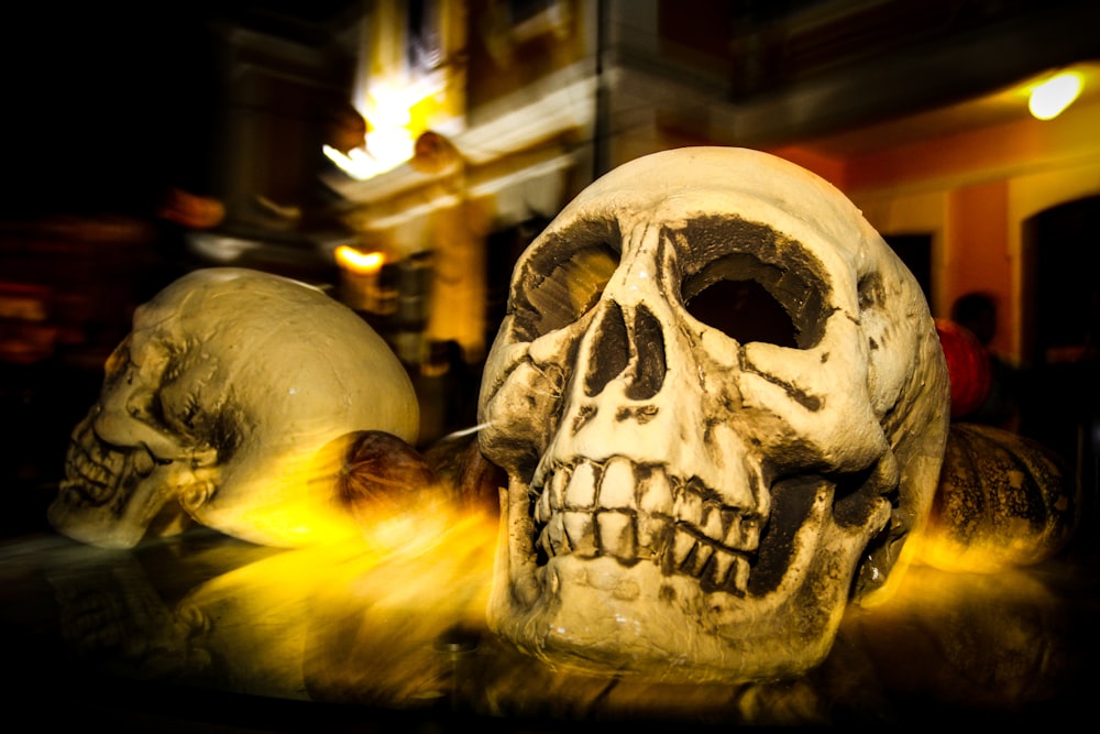 a couple of fake skulls sitting on top of a table