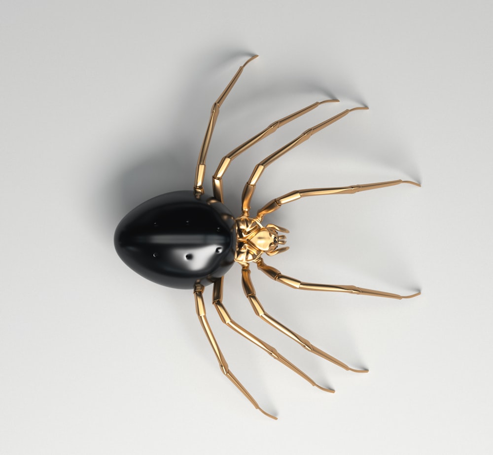 a golden spider with a black shell on its back