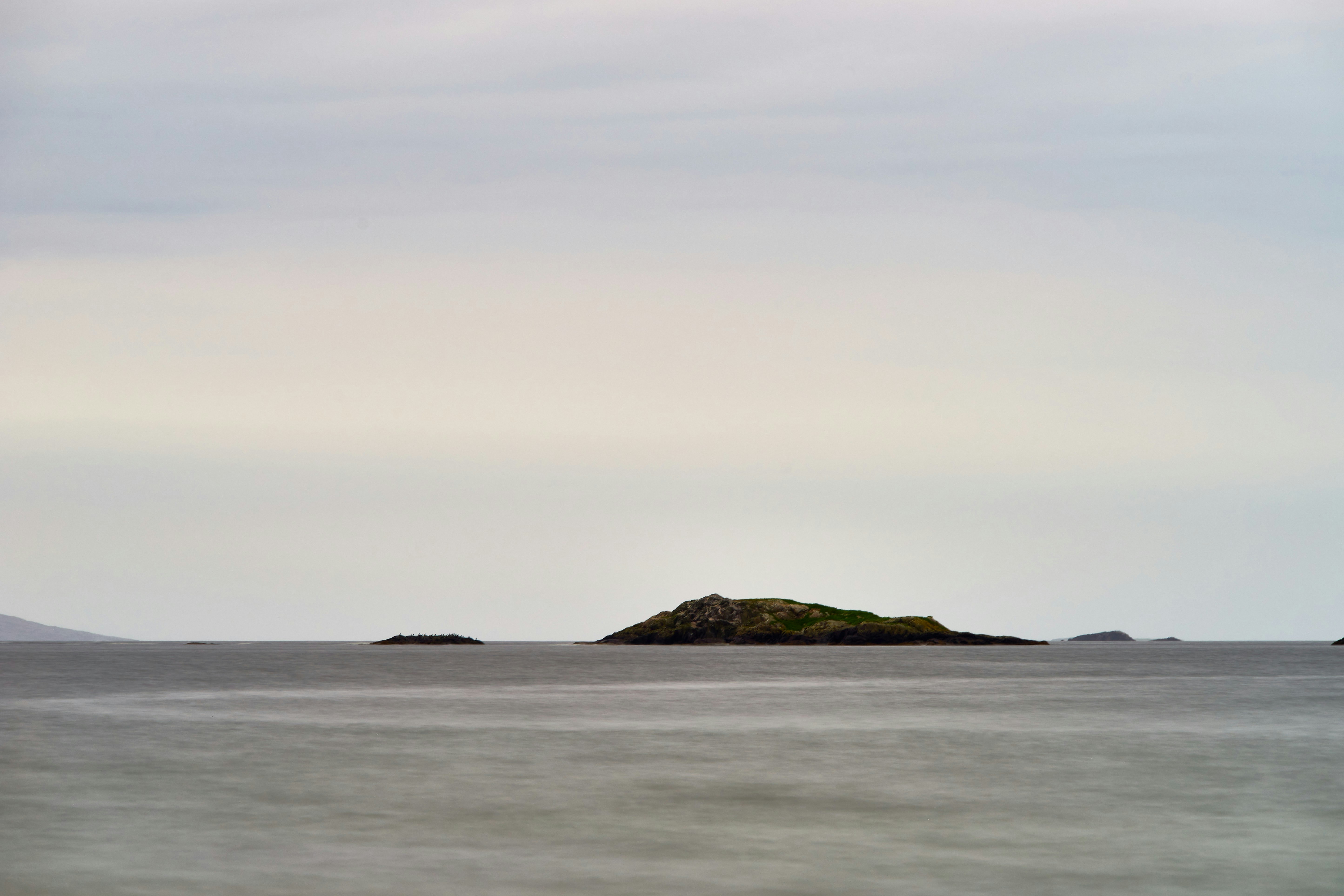 Photo by wolfgang_hasselmann