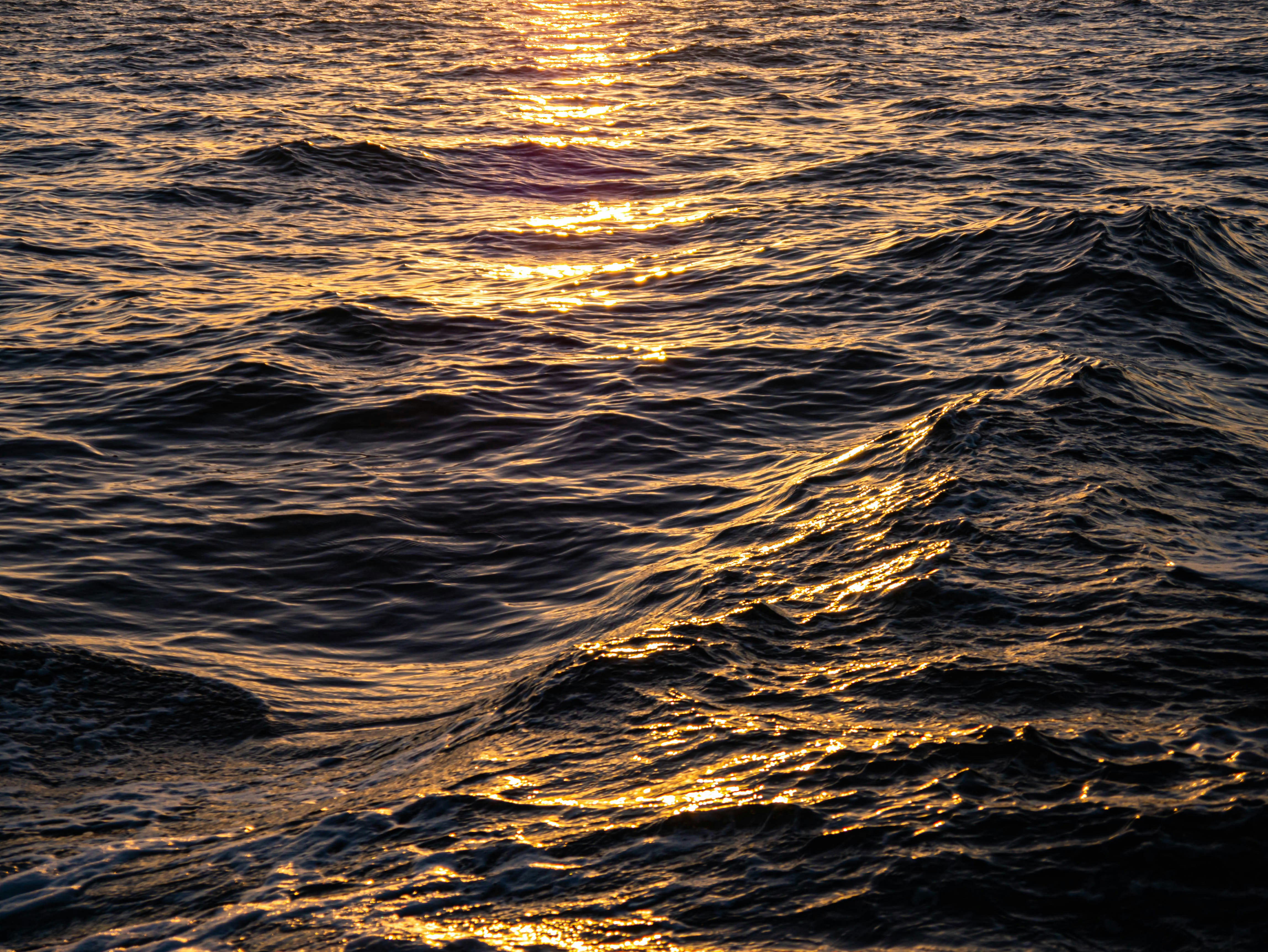 Photo by jameskitt616