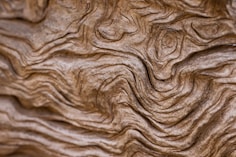 a close up view of a wood texture