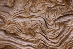 a close up view of a wood texture