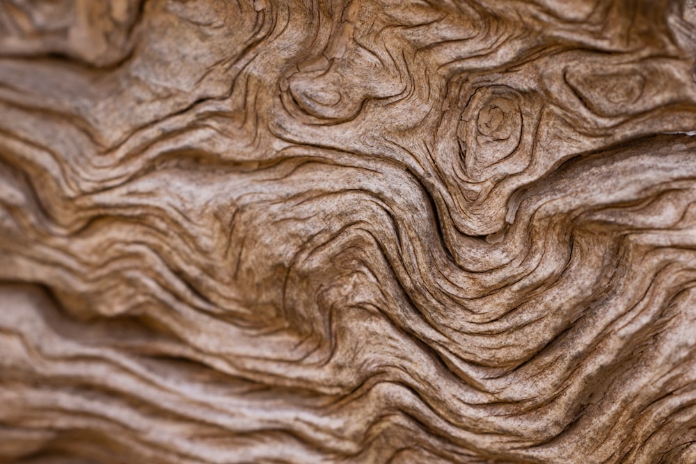 a close up view of a wood texture