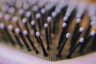 Image depicting coco bristle products.