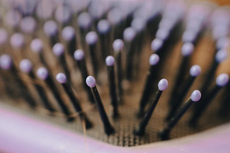 Close-up of a metal pin slicker brush designed for detangling dog fur.
