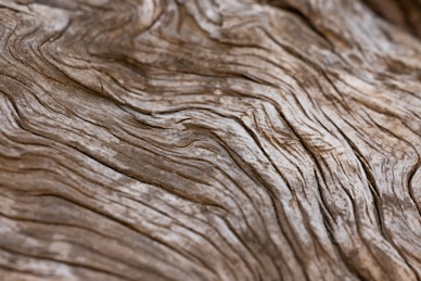 a close up of a wood grain pattern