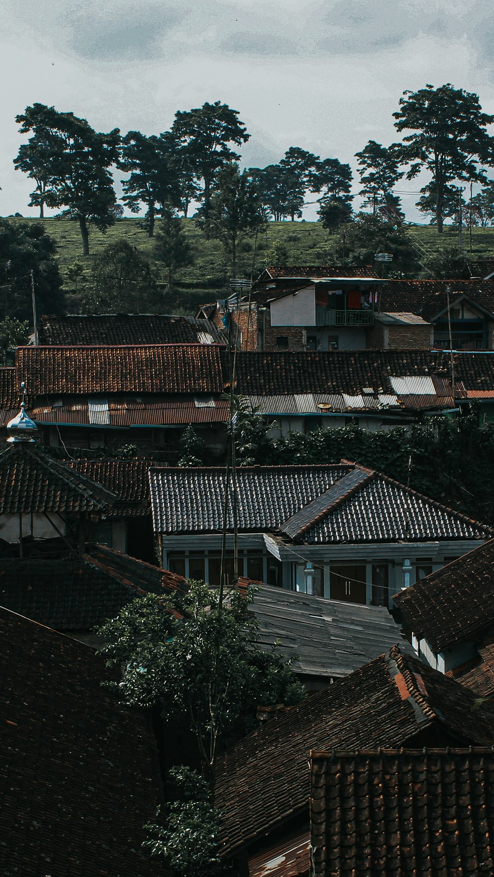 a view of a city with rooftops and trees