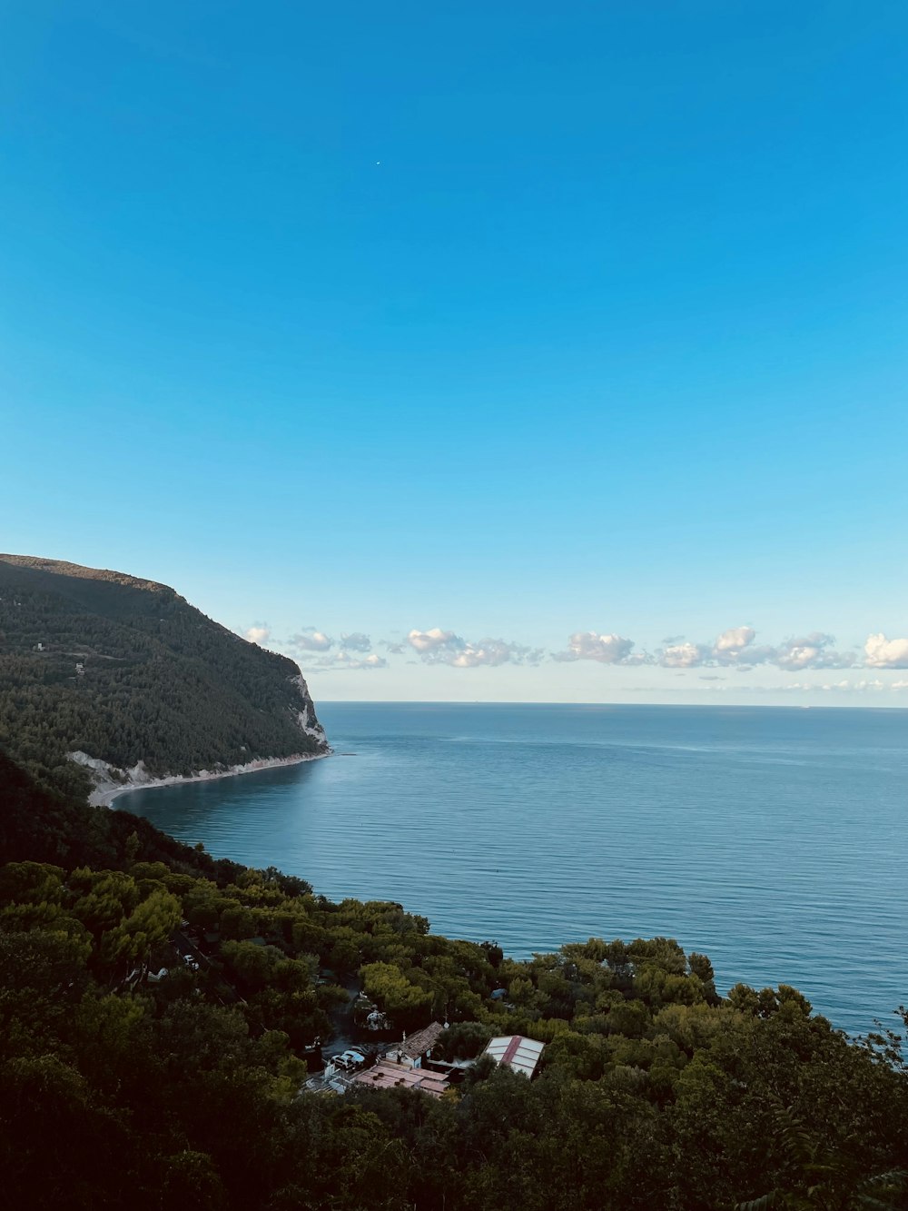 a large body of water surrounded by trees