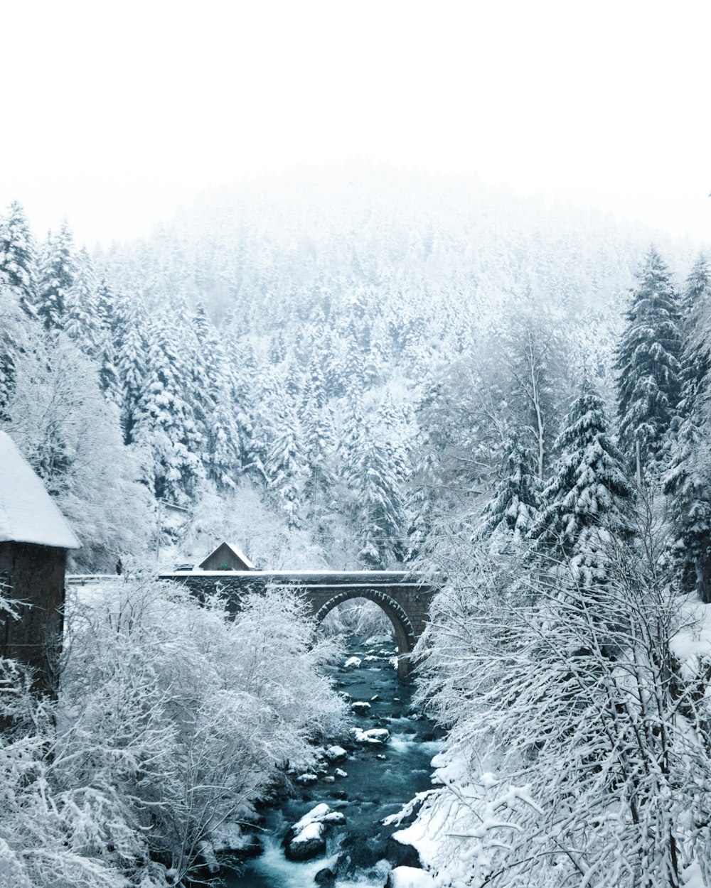 Un ponte su un fiume circondato da alberi innevati