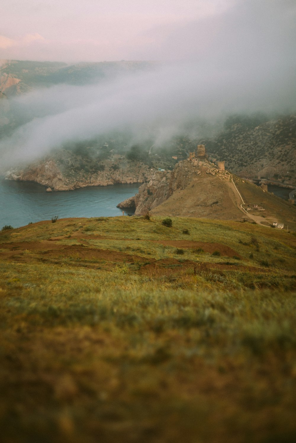 a sheep standing on top of a lush green hillside